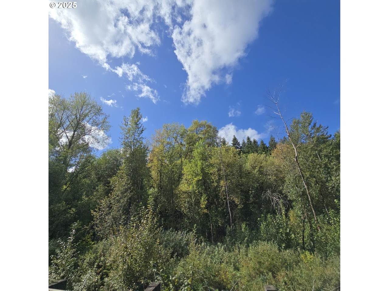  Beaver Springs - Photo 1