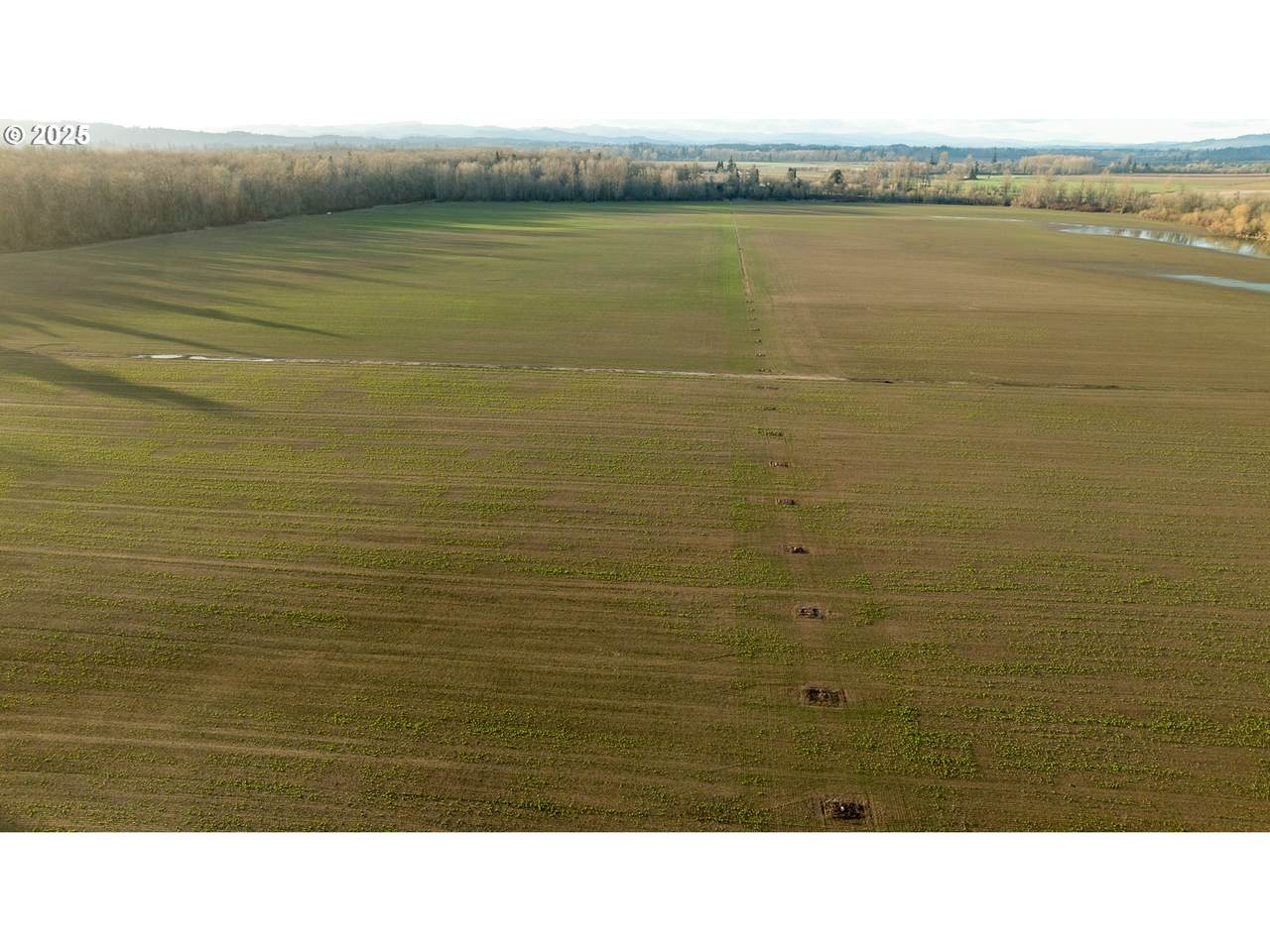 0 Upper Island Rd - Photo 1