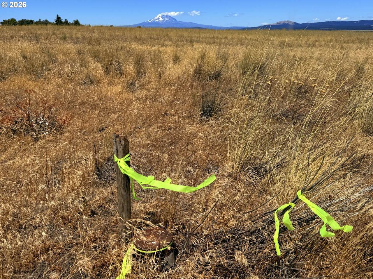 https://bt-photos.global.ssl.fastly.net/portland/1280_boomver_1_160140873-2.jpg