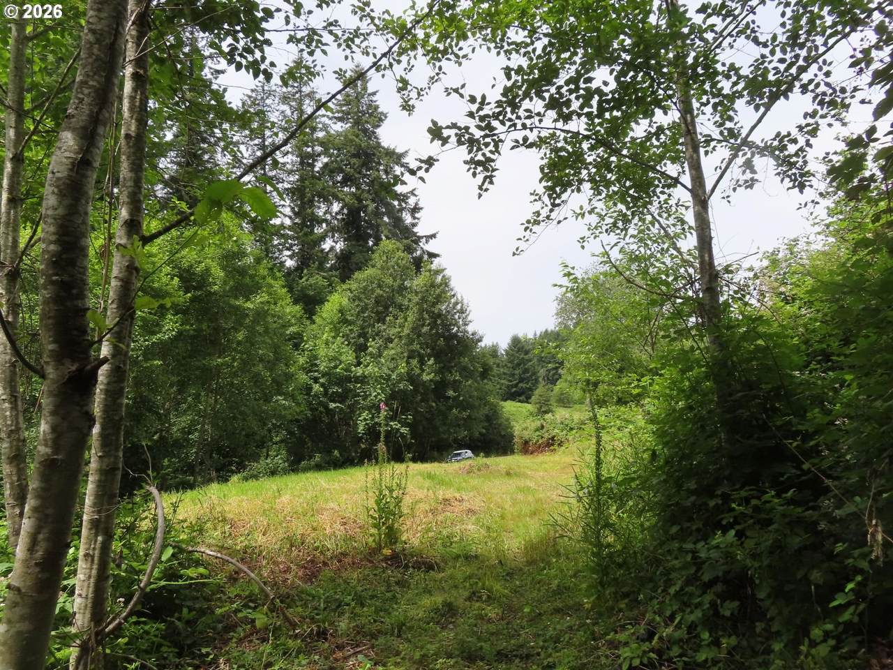  Coleman Rd - Photo 1