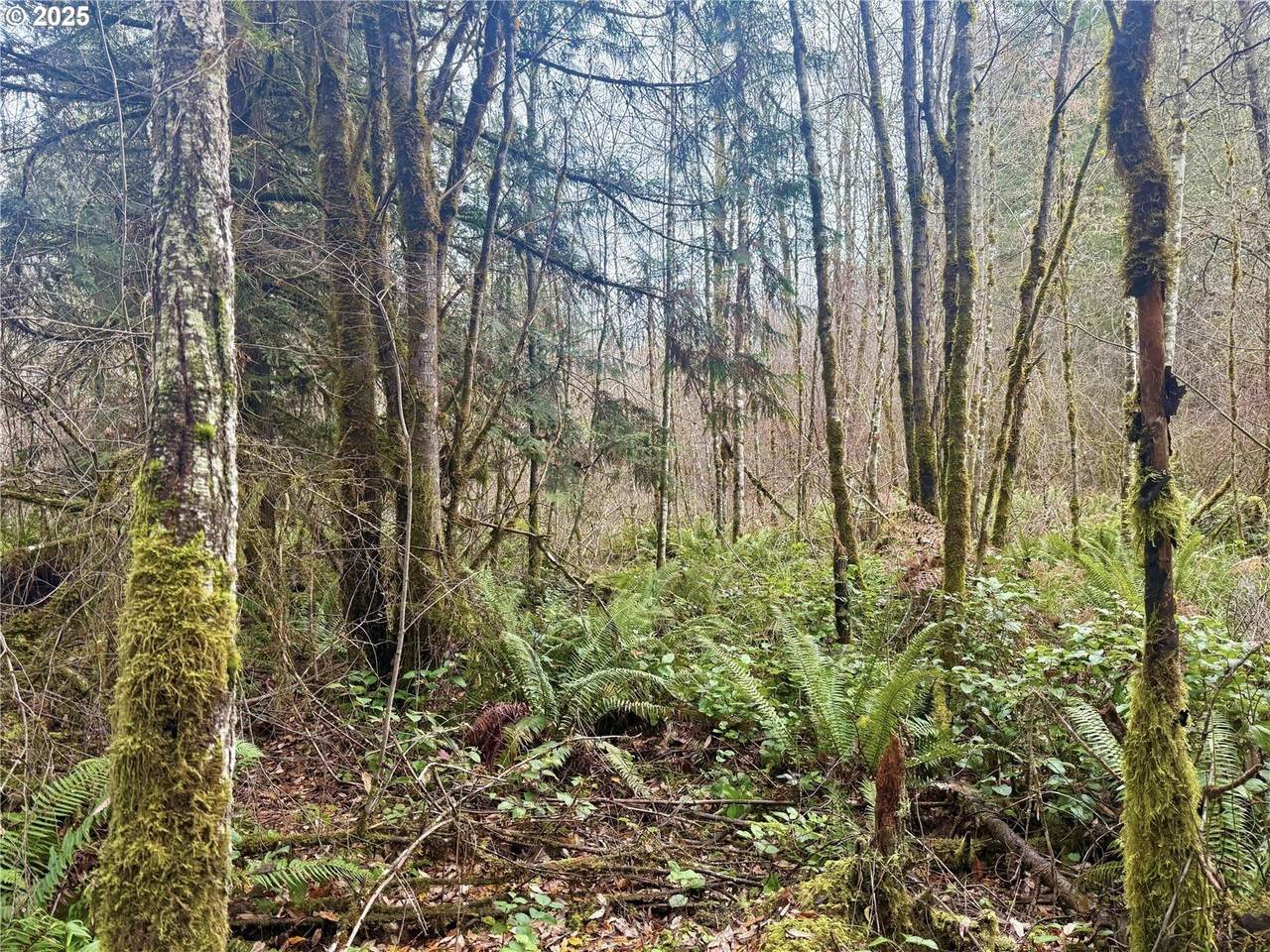 https://bt-photos.global.ssl.fastly.net/portland/1280_boomver_1_160841909-2.jpg