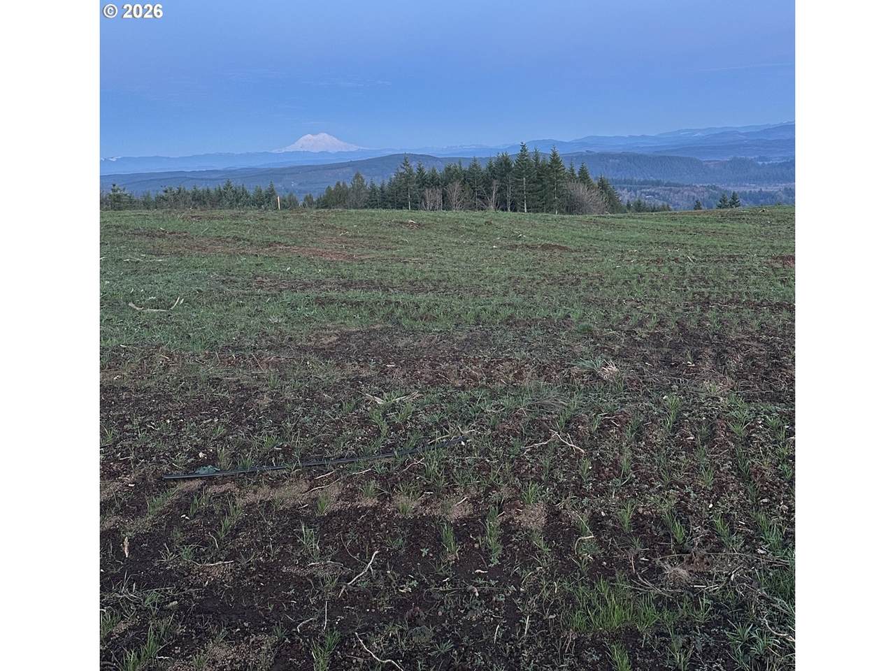 https://bt-photos.global.ssl.fastly.net/portland/1280_boomver_1_161721553-2.jpg