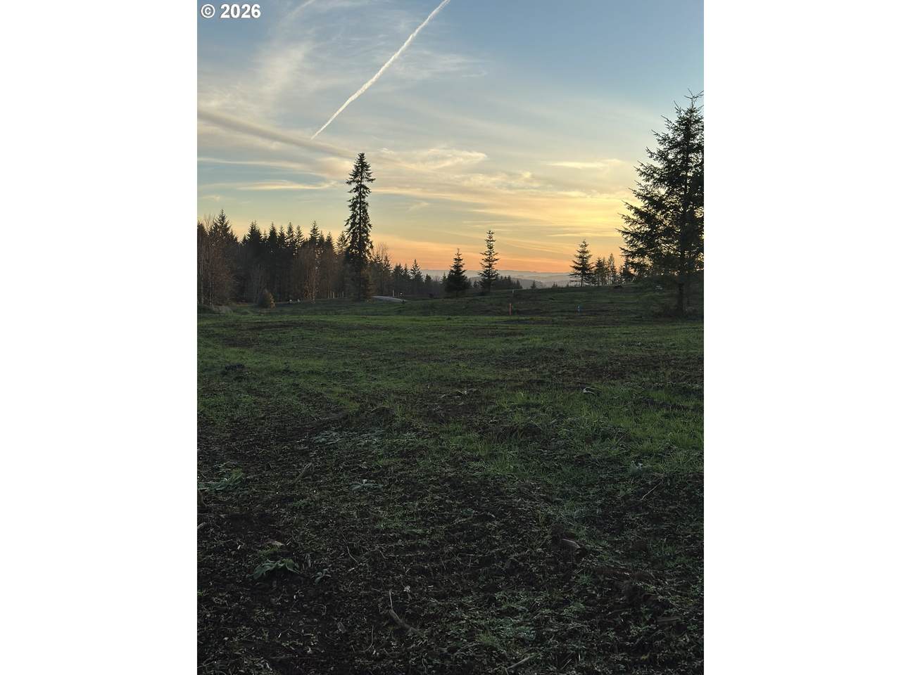 https://bt-photos.global.ssl.fastly.net/portland/1280_boomver_1_161721553-2.jpg