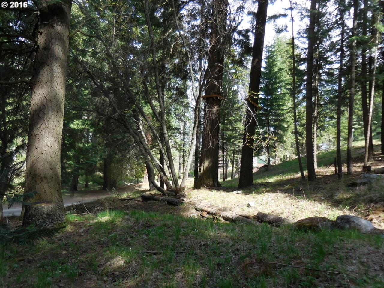 0 Wallowa Lake - Photo 1