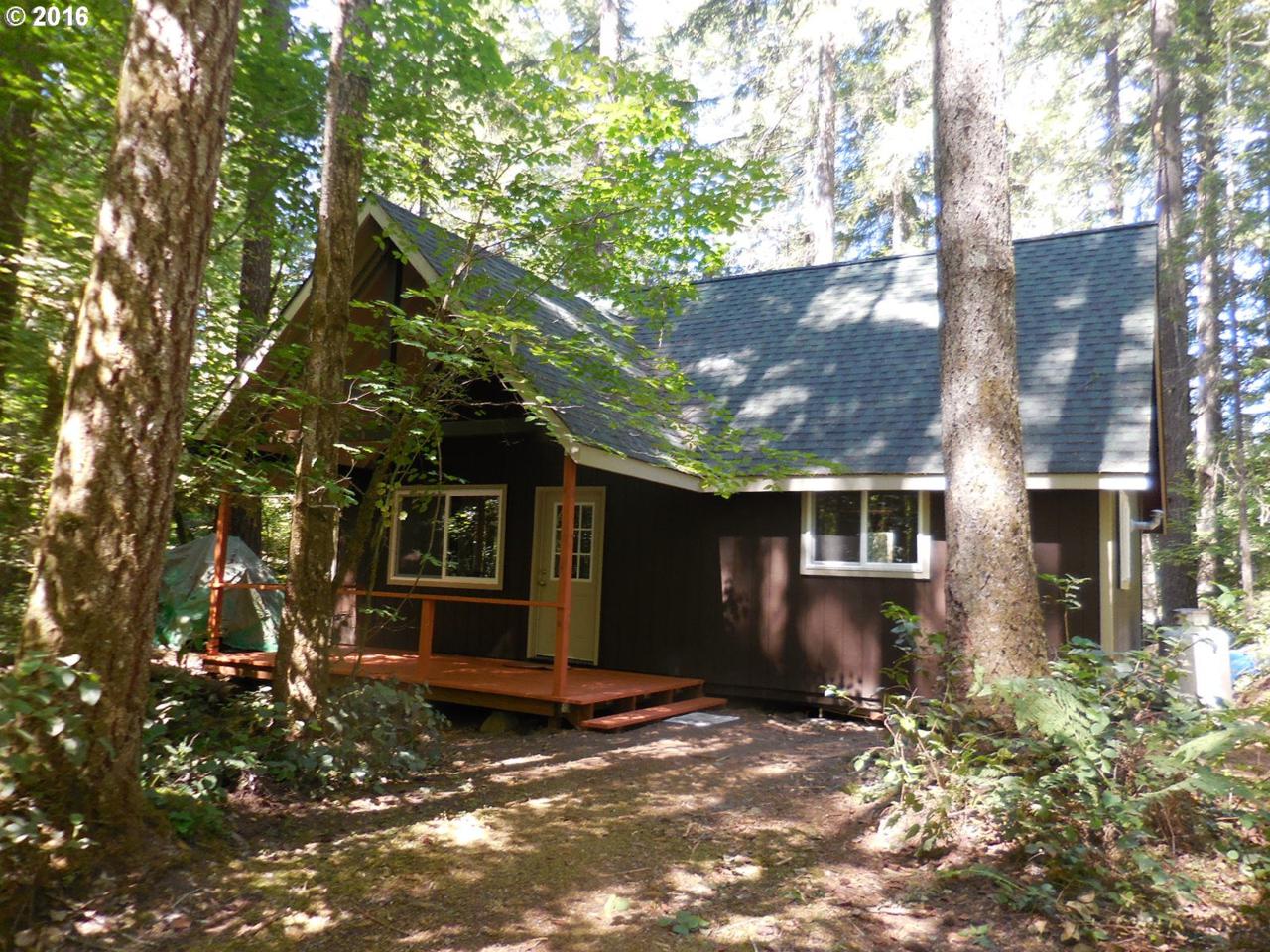 Cabin 65 Northwoods - Photo 1