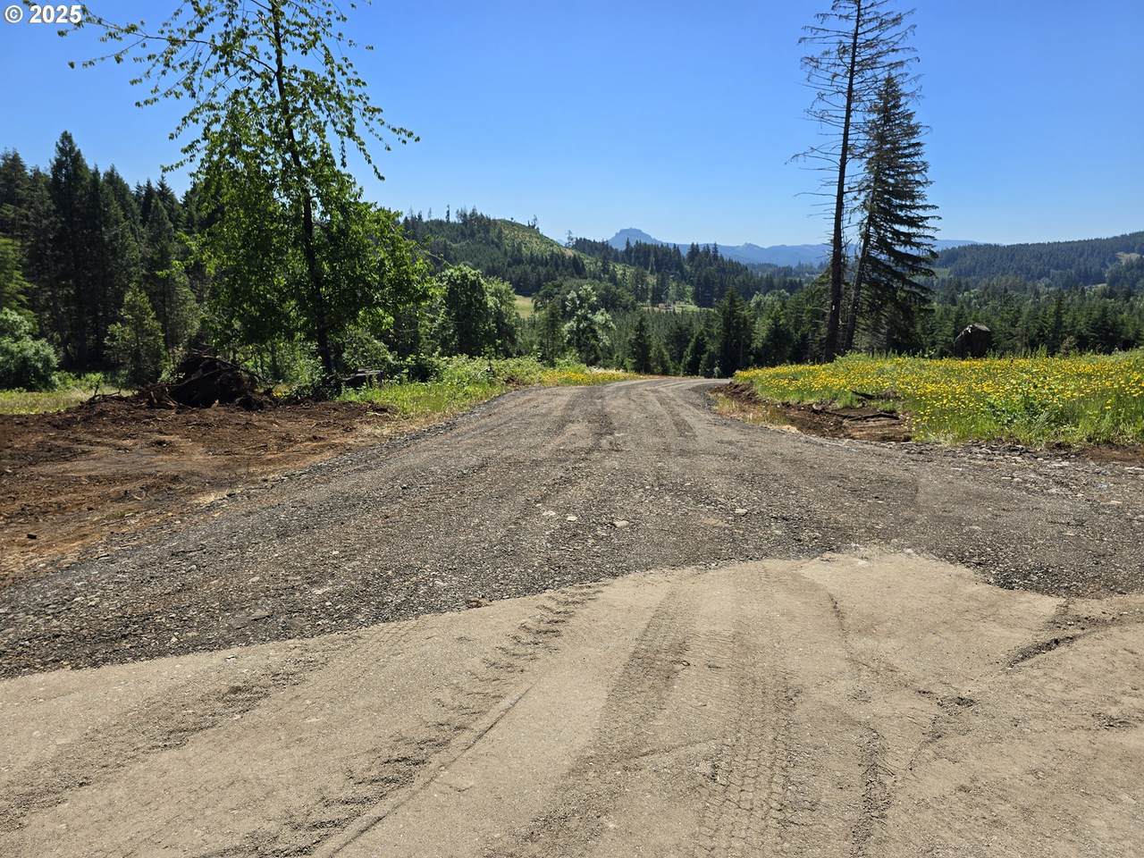 3 Blacks Dr - Photo 1