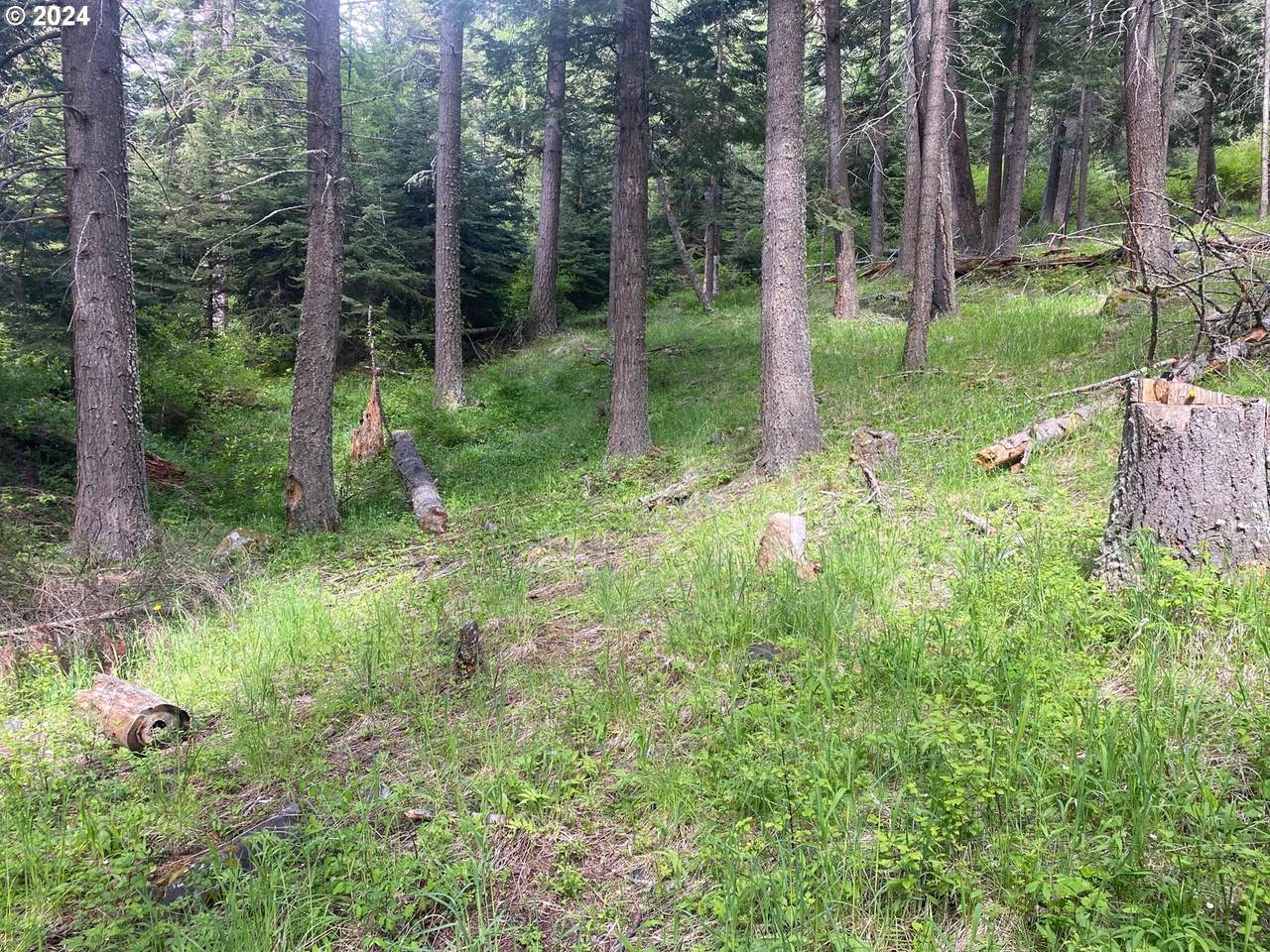 0 Tram Ln - Photo 1