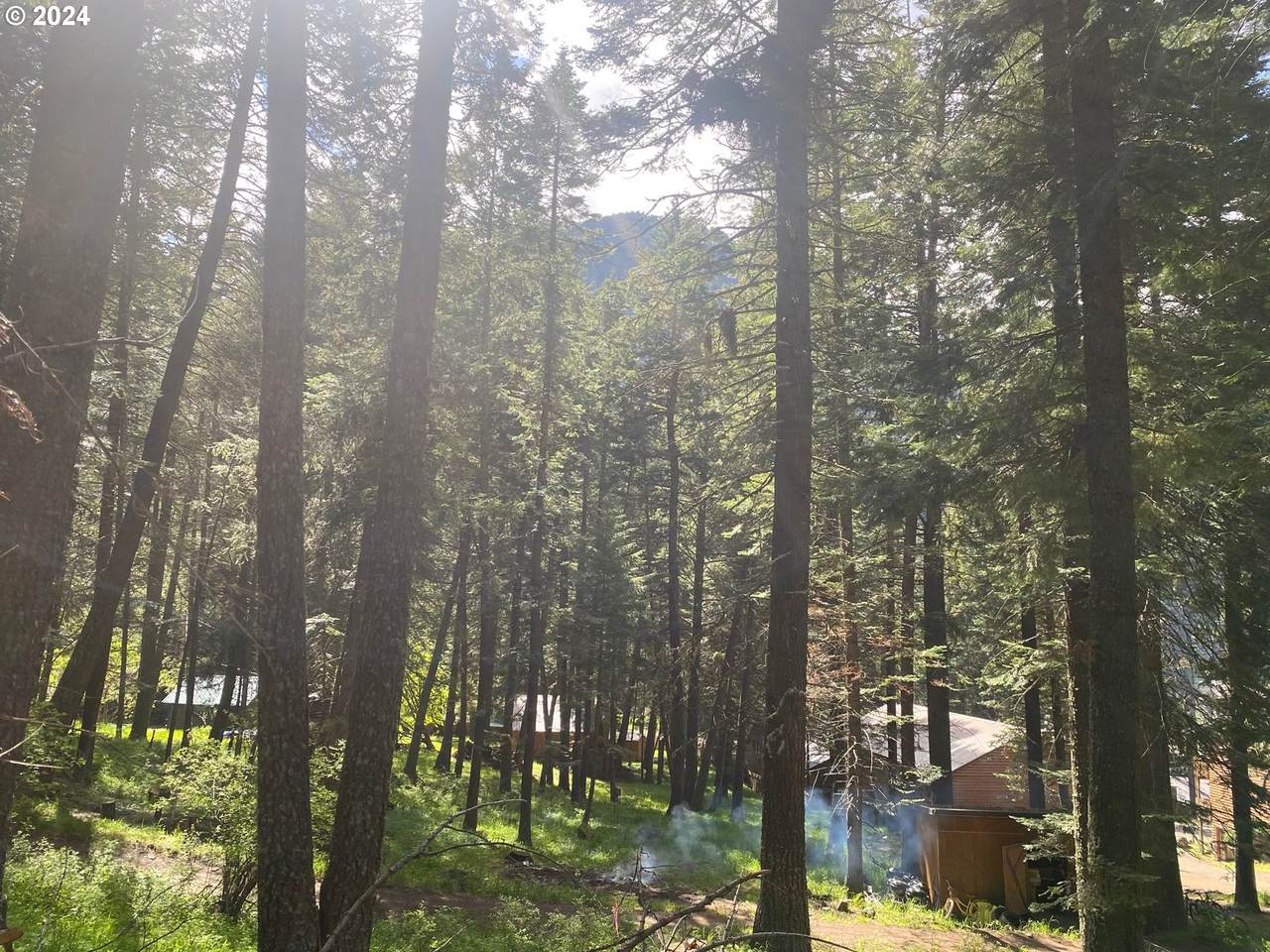 https://bt-photos.global.ssl.fastly.net/portland/1280_boomver_1_163782326-2.jpg