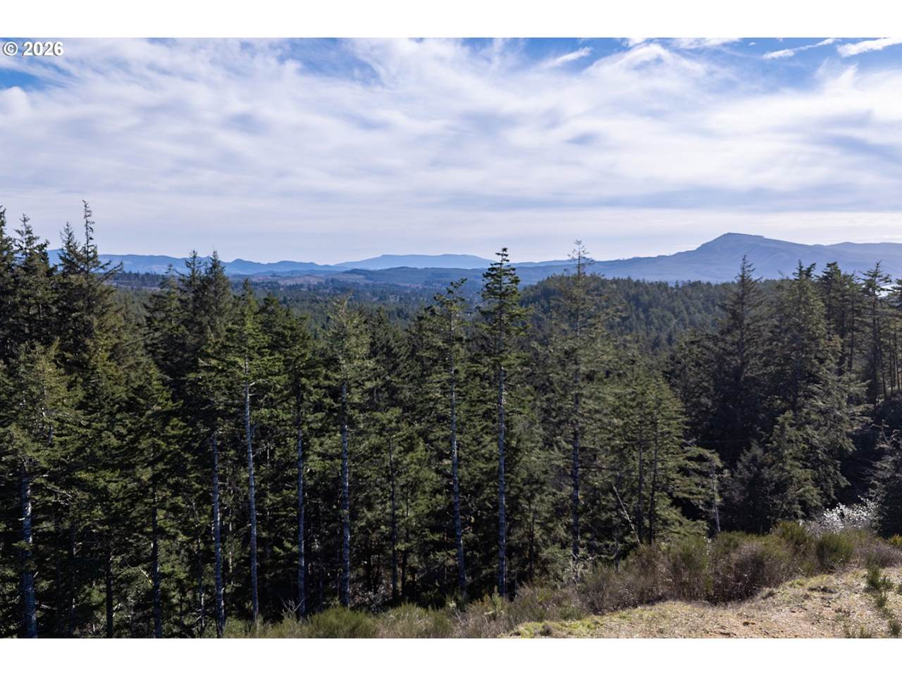 https://bt-photos.global.ssl.fastly.net/portland/1280_boomver_1_164998467-2.jpg