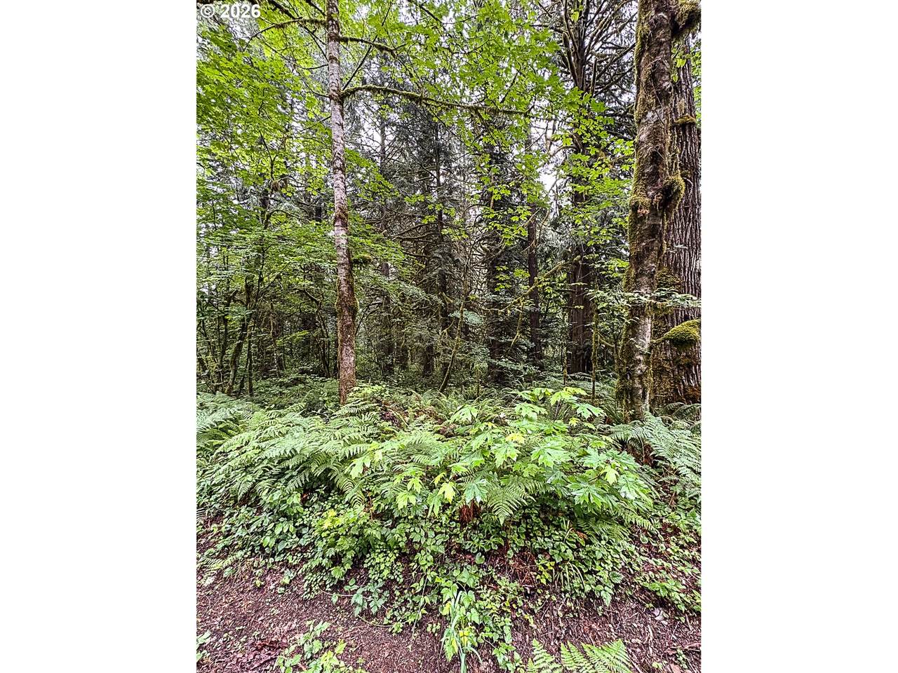 https://bt-photos.global.ssl.fastly.net/portland/orig_boomver_1_165295980-2.jpg