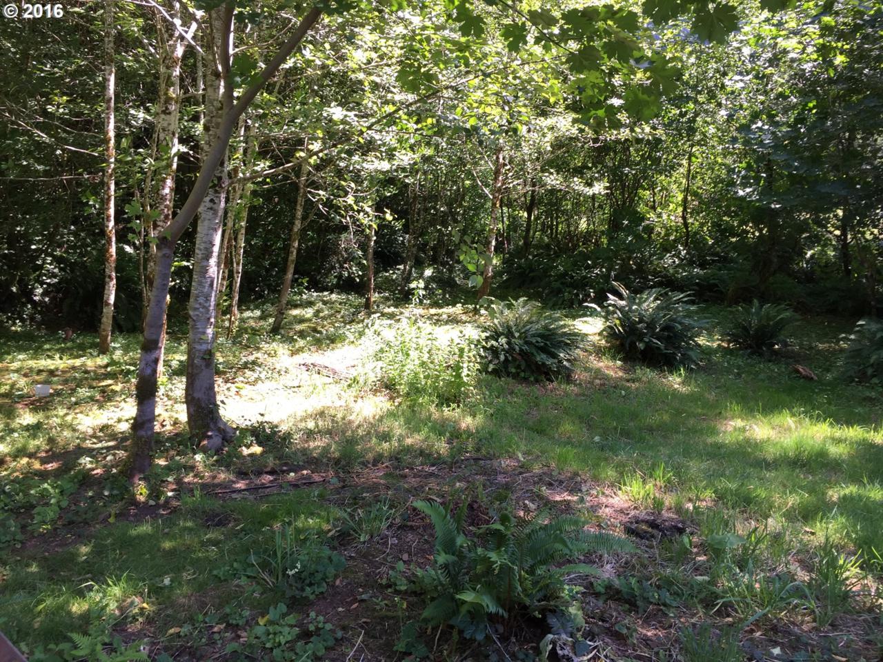 Wilson River Hwy - Photo 1
