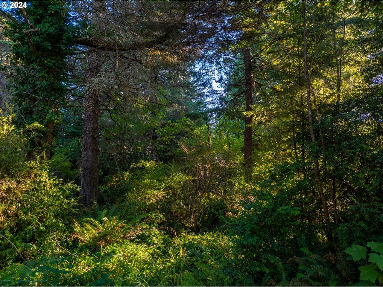 https://bt-photos.global.ssl.fastly.net/portland/orig_boomver_1_166681855-2.jpg