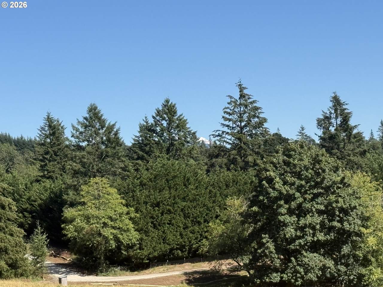 https://bt-photos.global.ssl.fastly.net/portland/1280_boomver_1_169845857-2.jpg