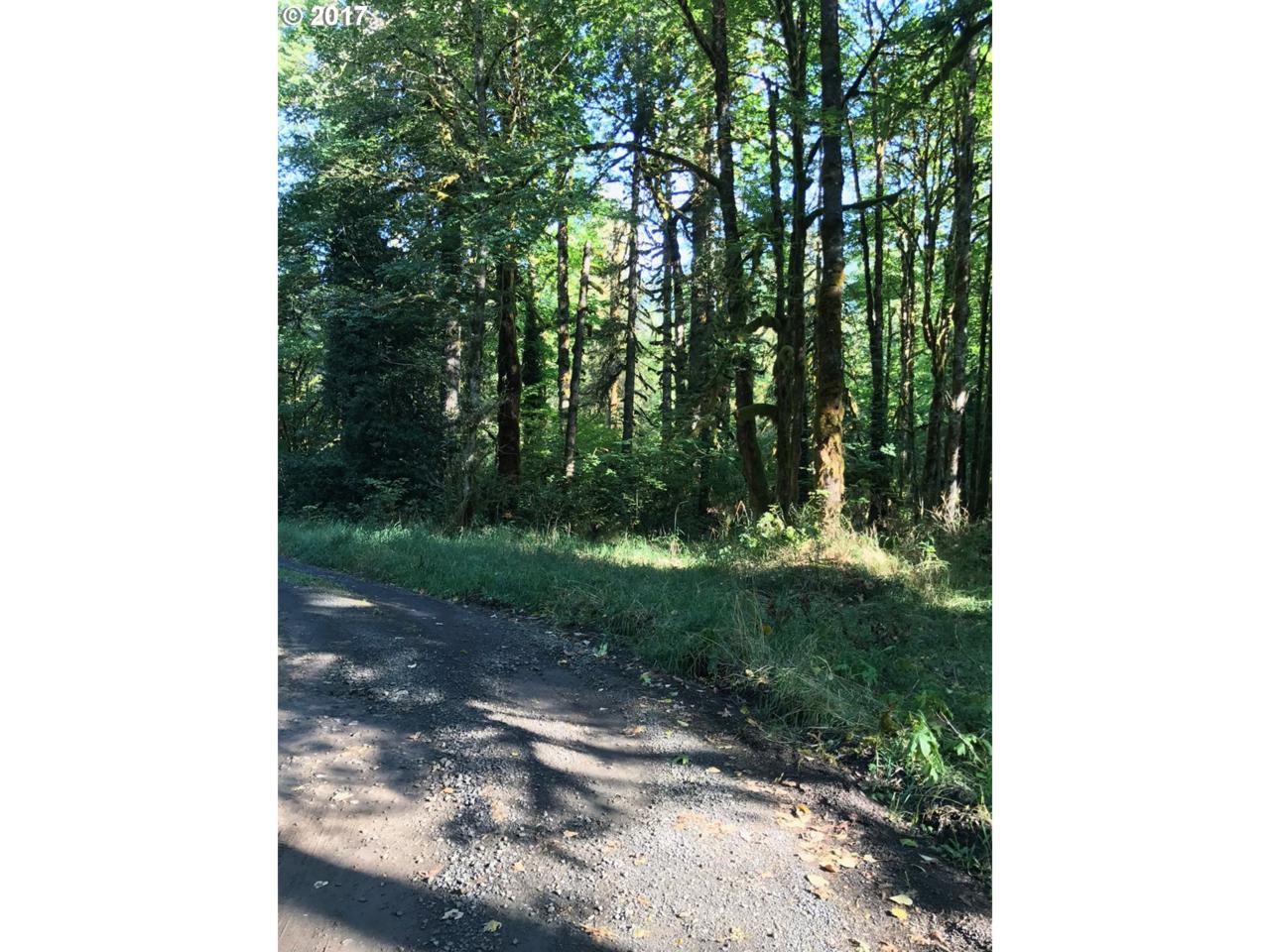 0 Brightwood Loop - Photo 1