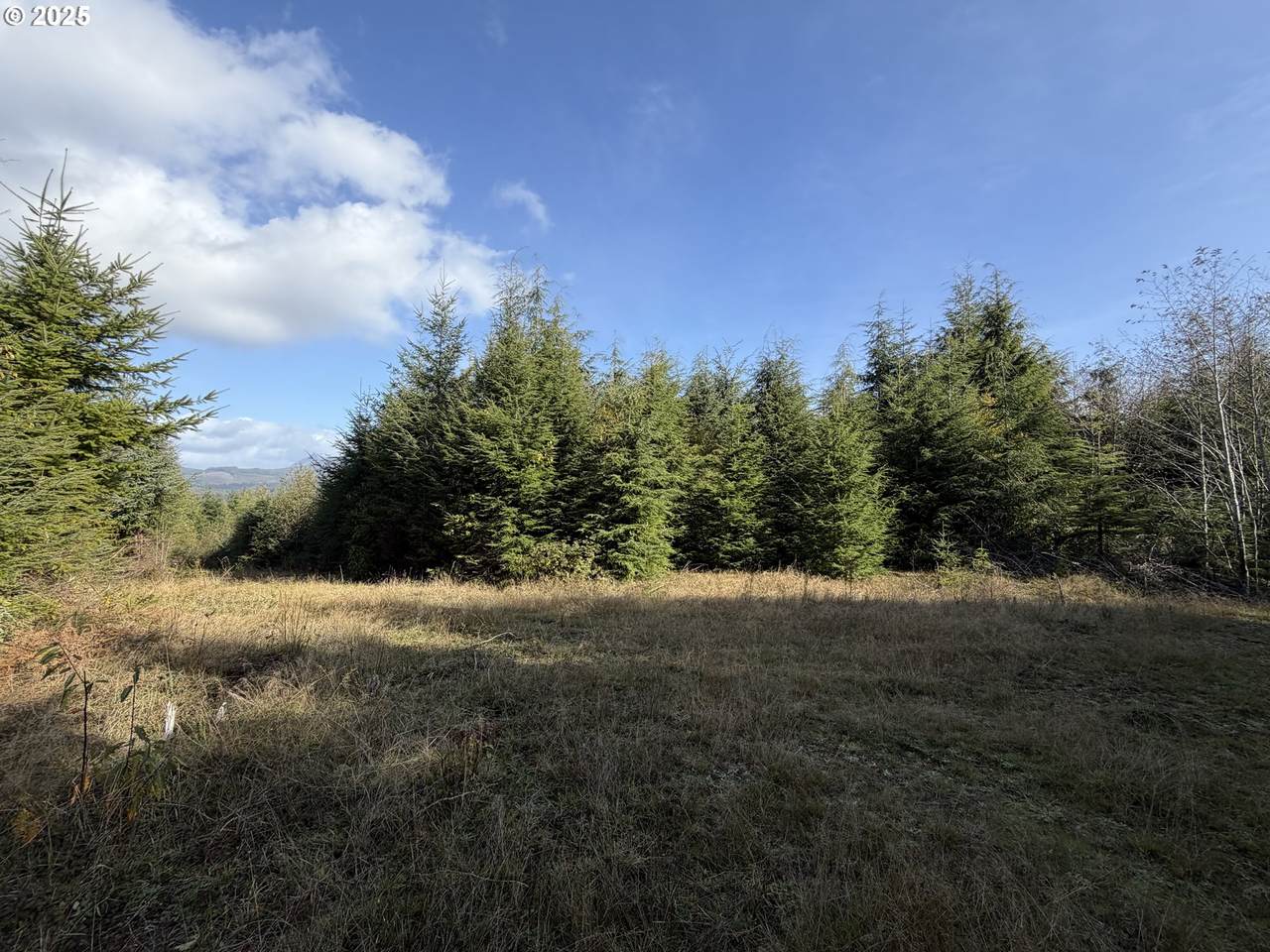 https://bt-photos.global.ssl.fastly.net/portland/1280_boomver_1_170424944-2.jpg