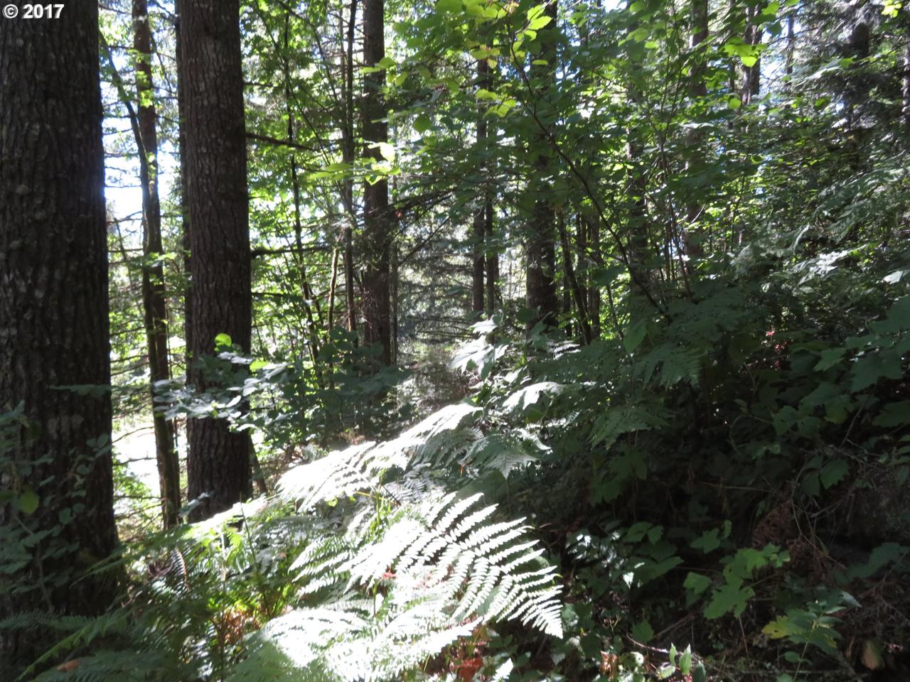 Us Hwy 12 - Photo 1