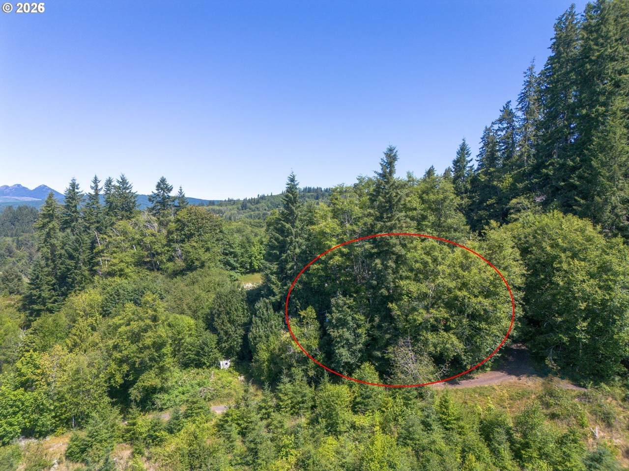 https://bt-photos.global.ssl.fastly.net/portland/1280_boomver_1_170952233-2.jpg