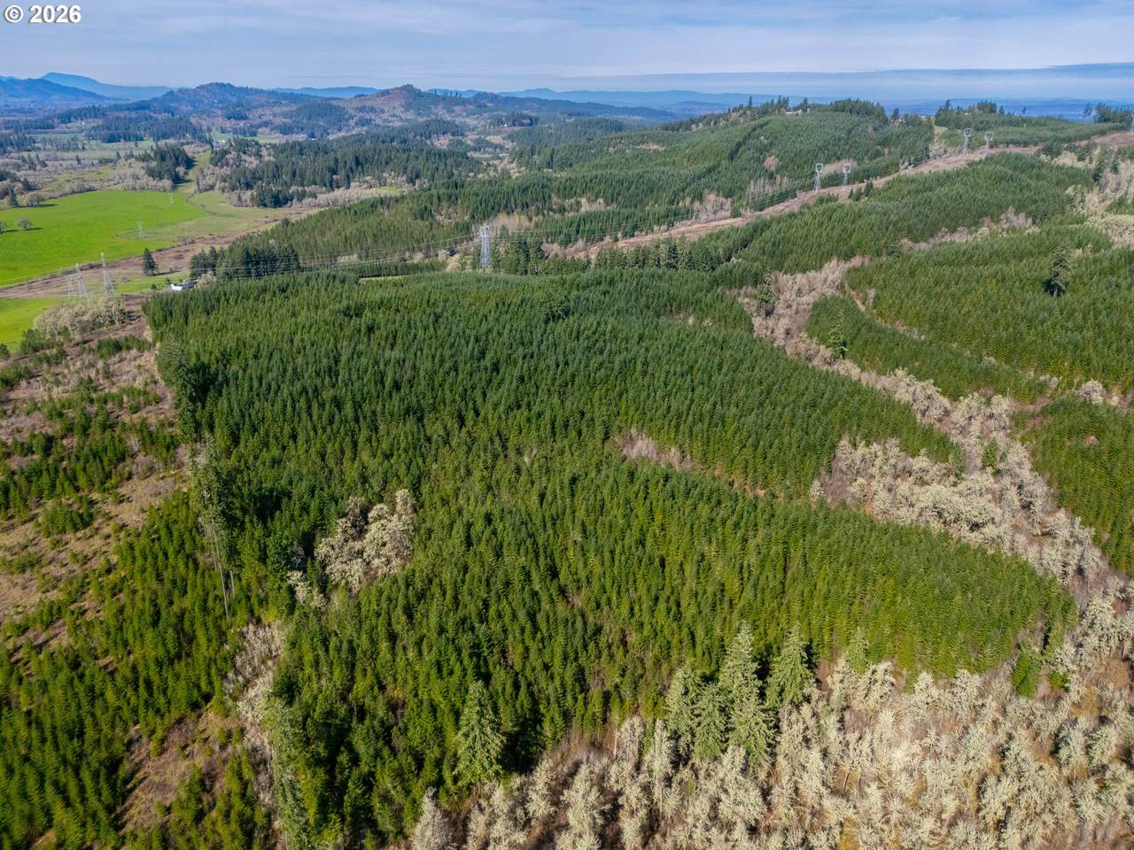 https://bt-photos.global.ssl.fastly.net/portland/1280_boomver_1_171102590-2.jpg