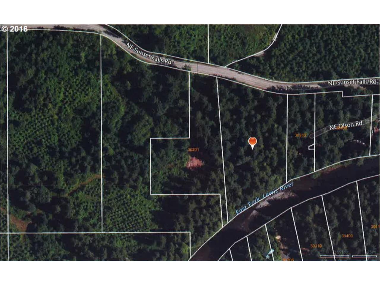 30201 Sunset Falls (East) Rd - Photo 1