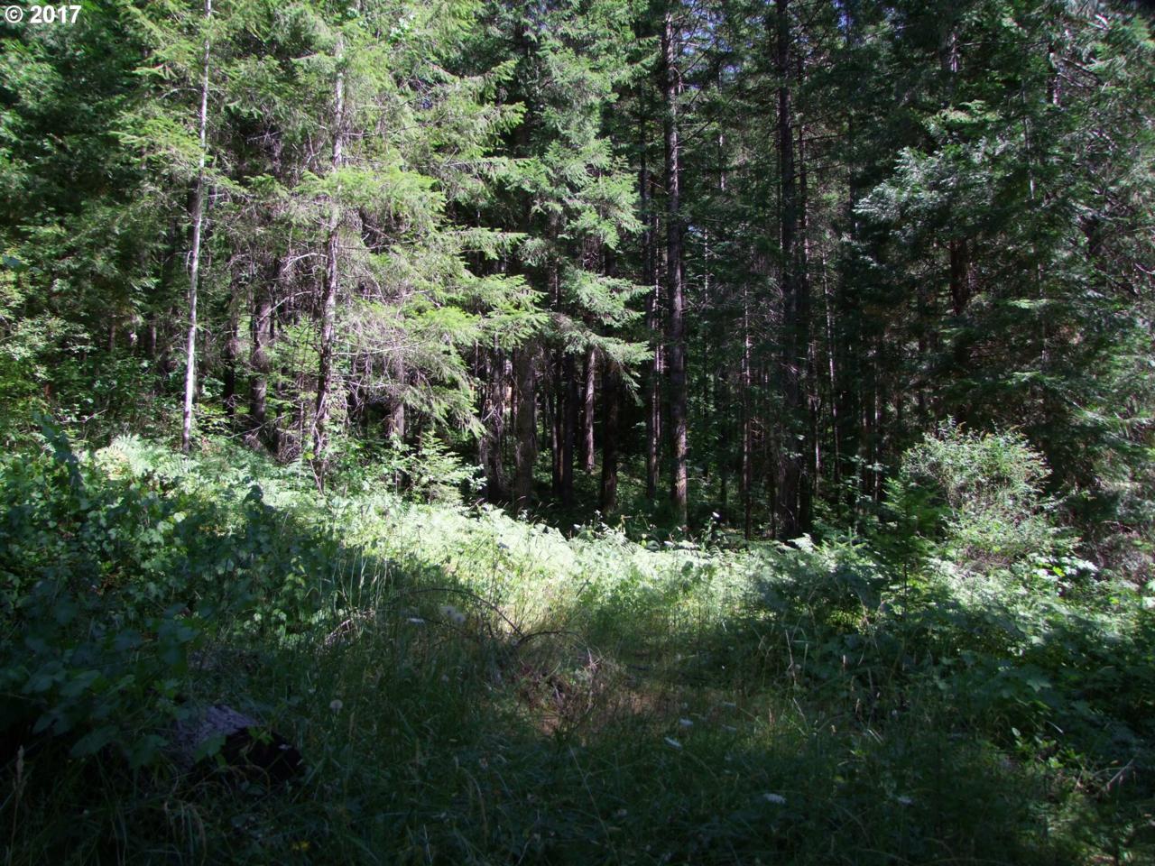 211 Evergreen Ln - Photo 1