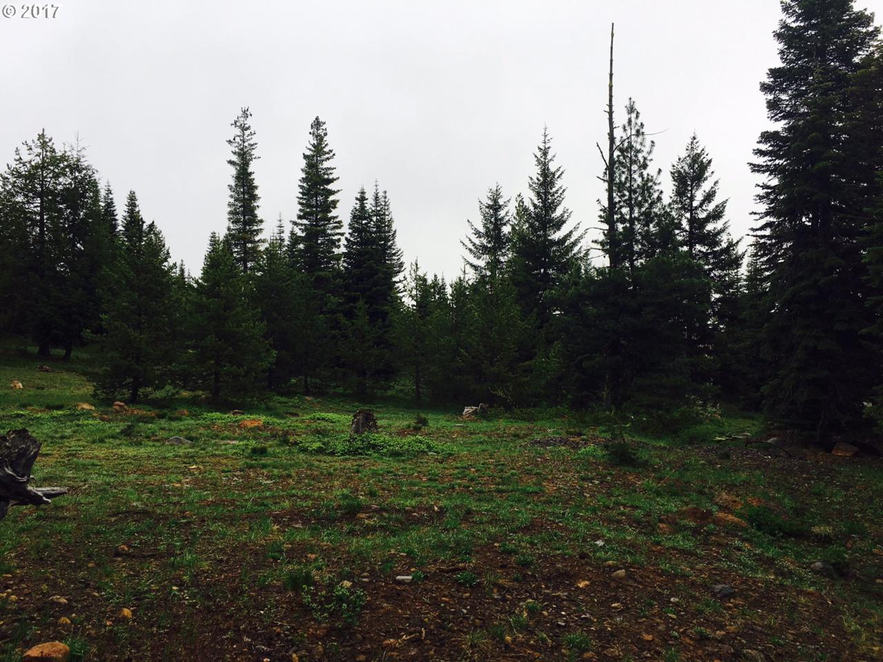 Skyview Cir - Photo 1