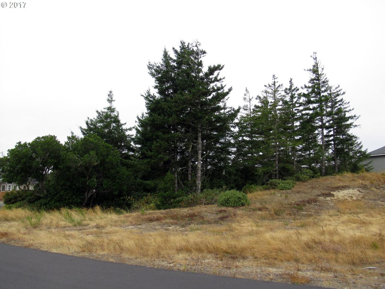 Dunewood Dr - Photo 1