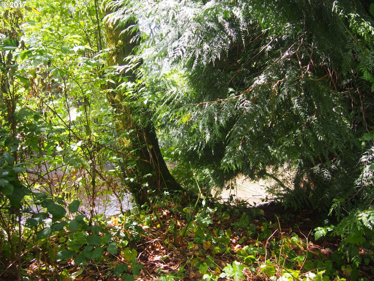 Brooten Rd - Photo 1