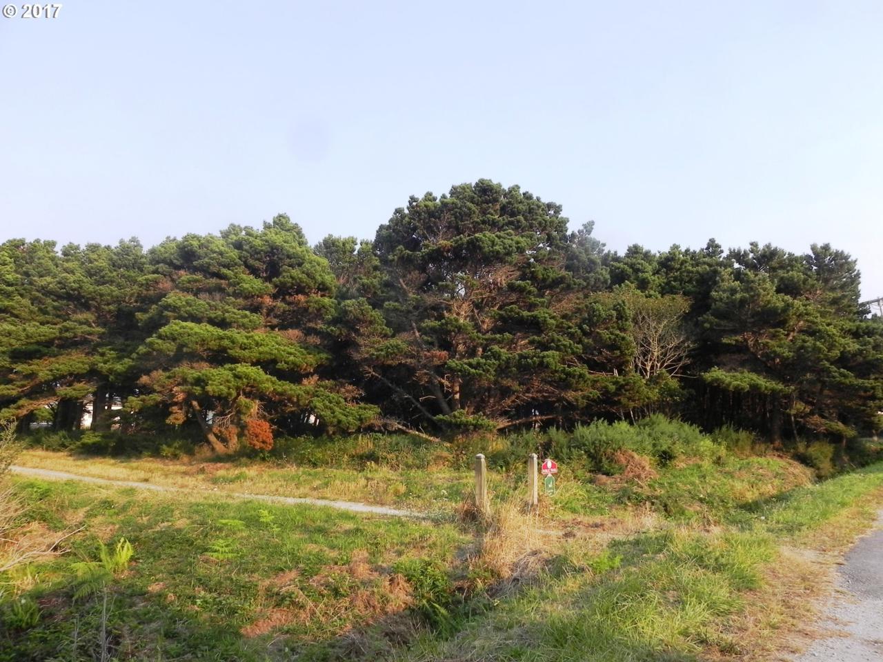 0 Beach Loop - Photo 1