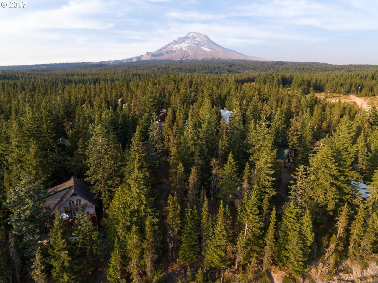 89535 Government Camp Loop - Photo 1