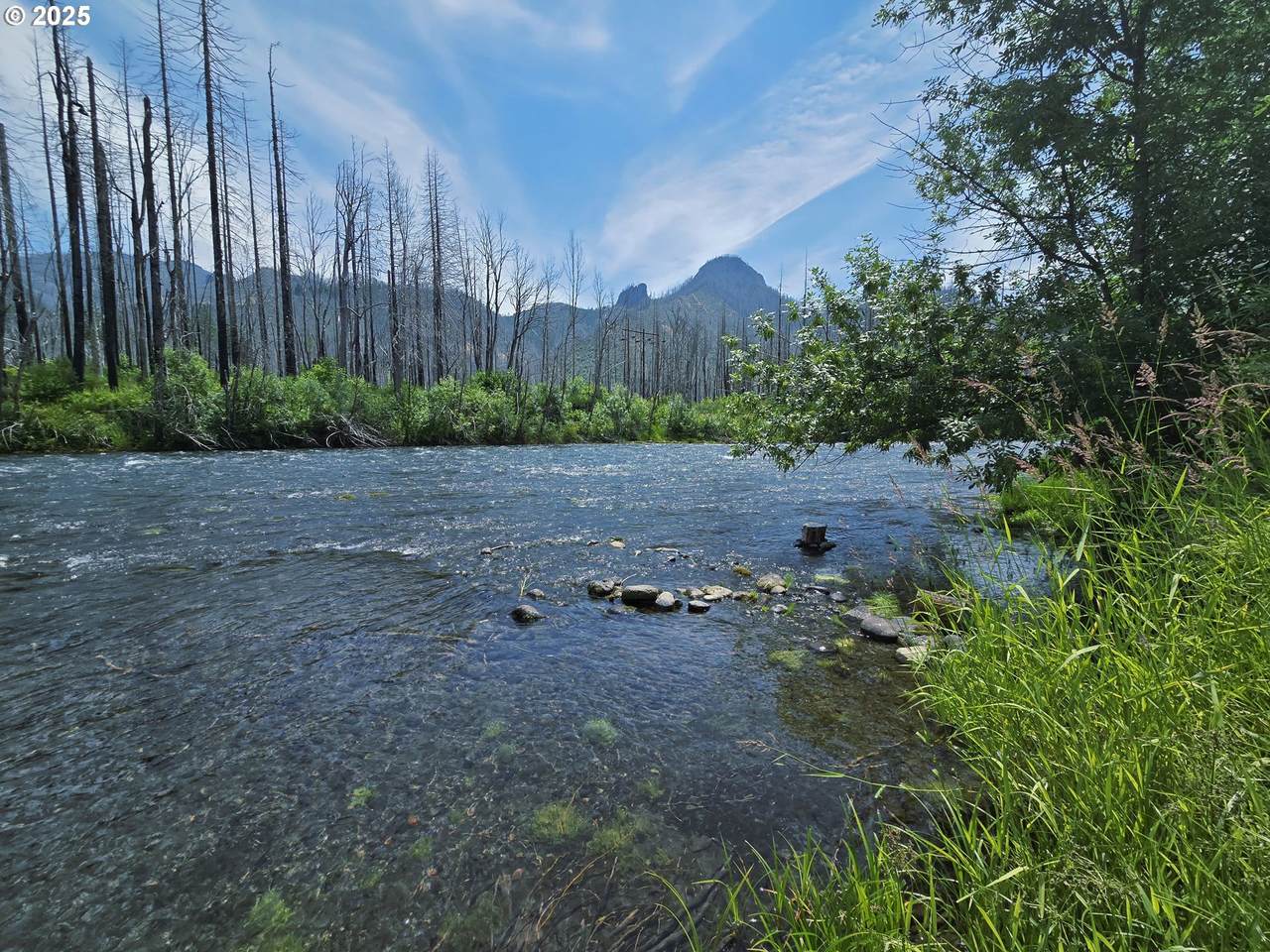 52262 Mckenzie Hwy - Photo 1