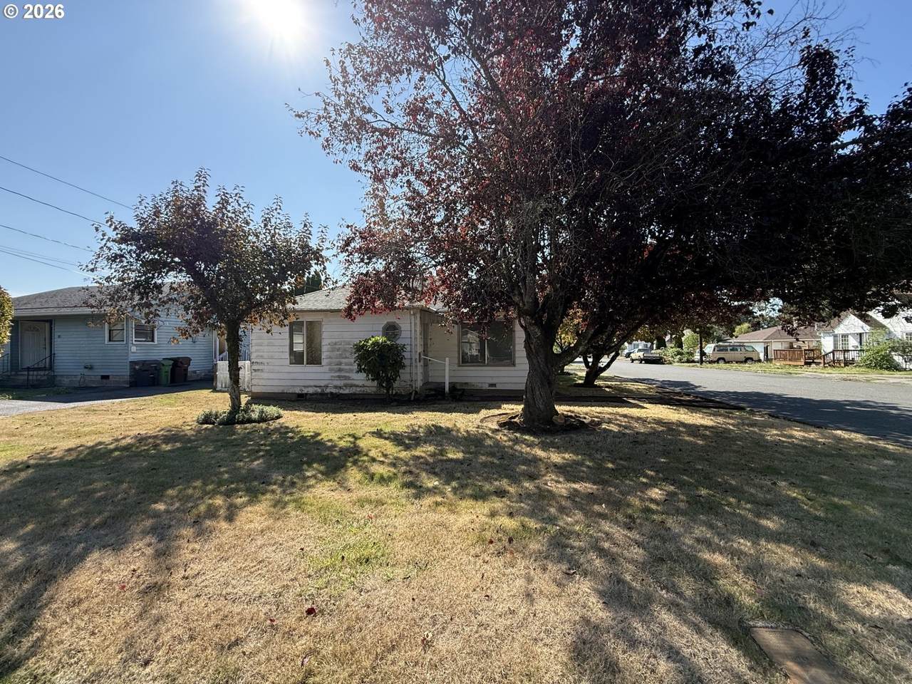 174 Macarthur St - Photo 1