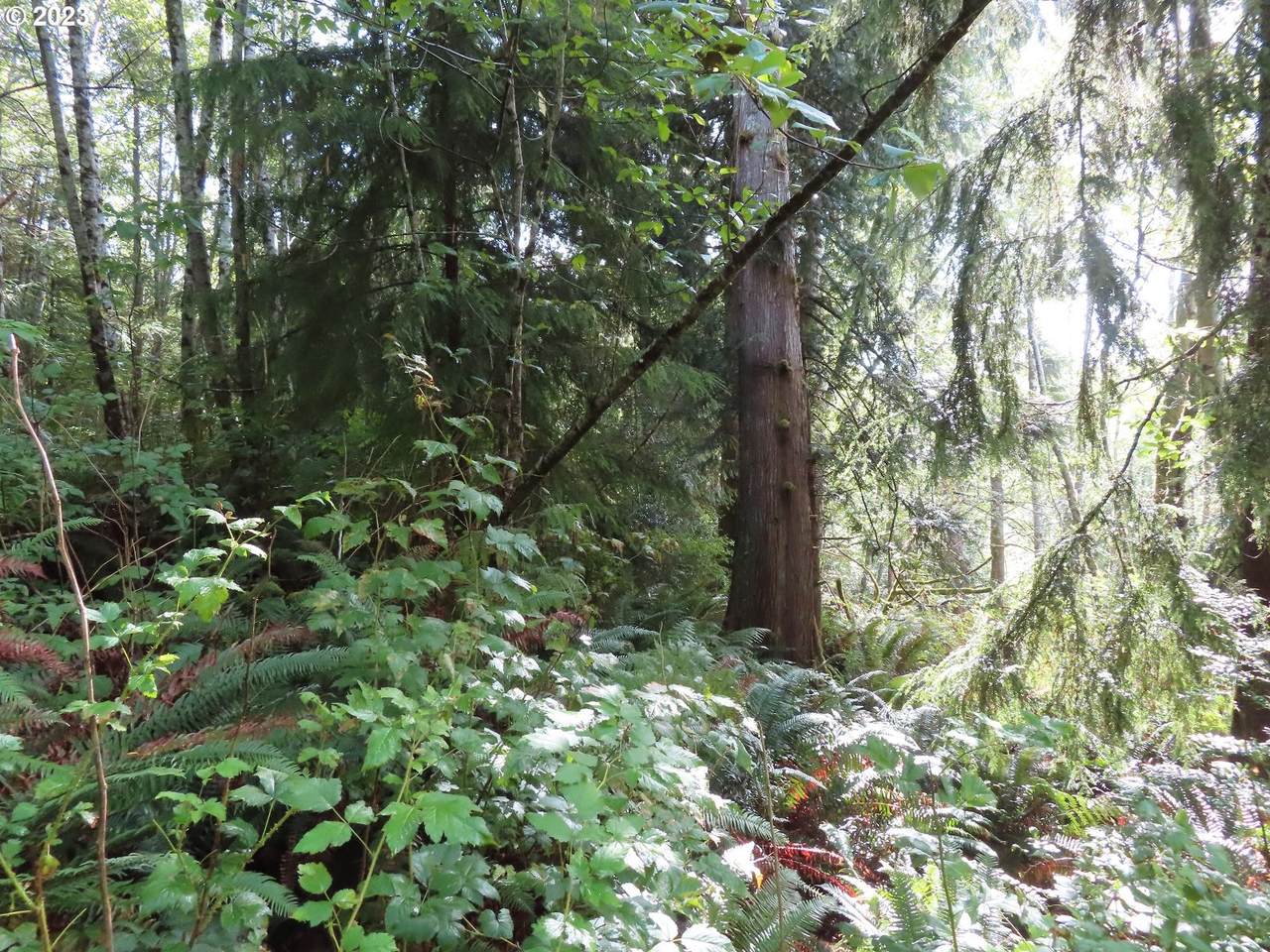 https://bt-photos.global.ssl.fastly.net/portland/1280_boomver_1_176364510-2.jpg