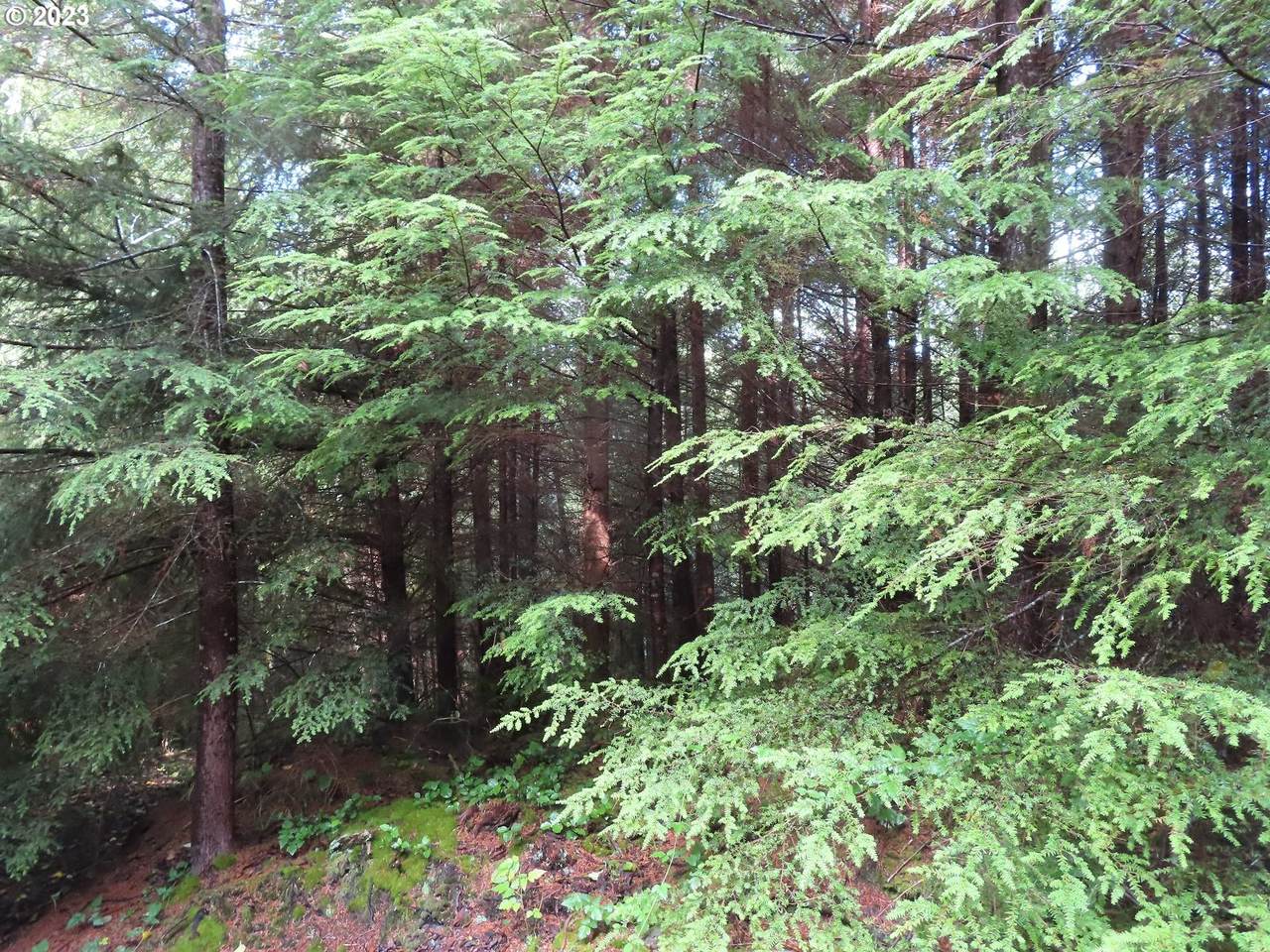 https://bt-photos.global.ssl.fastly.net/portland/1280_boomver_1_176364510-2.jpg
