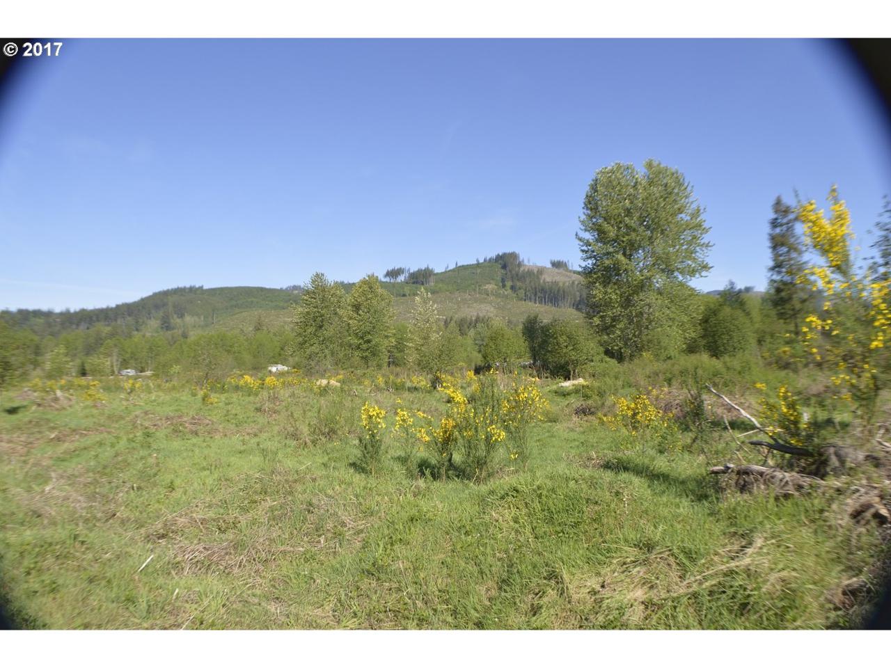 112 Wild Daisy Dr - Photo 1