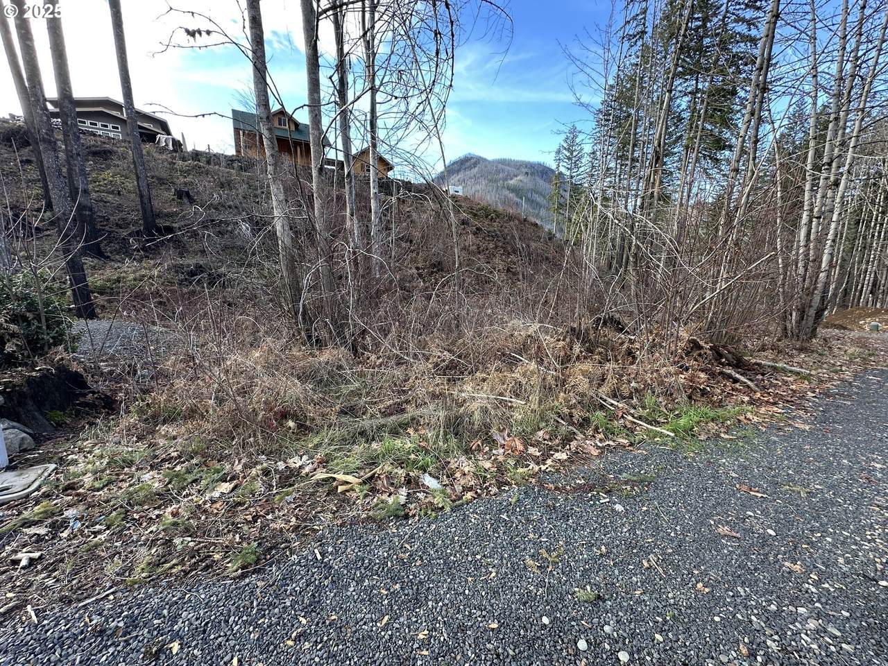 https://bt-photos.global.ssl.fastly.net/portland/1280_boomver_1_176699968-2.jpg