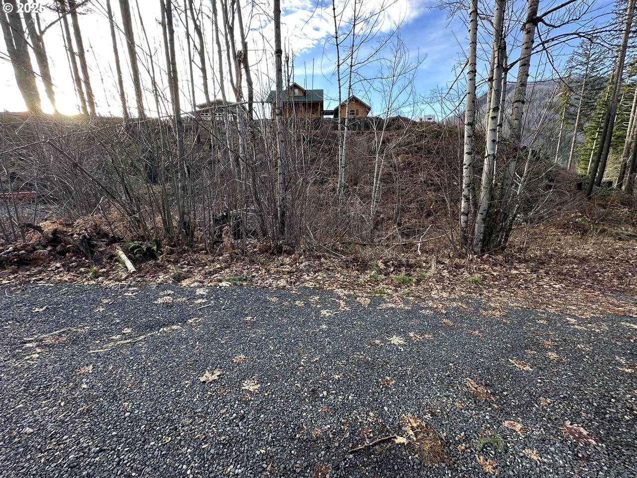 https://bt-photos.global.ssl.fastly.net/portland/1280_boomver_1_176699968-2.jpg