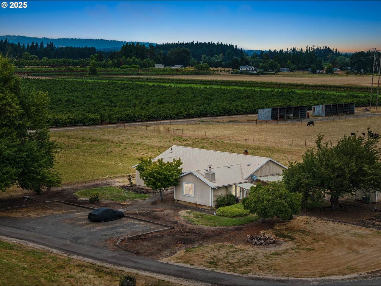 8949 Gribble Rd - Photo 1