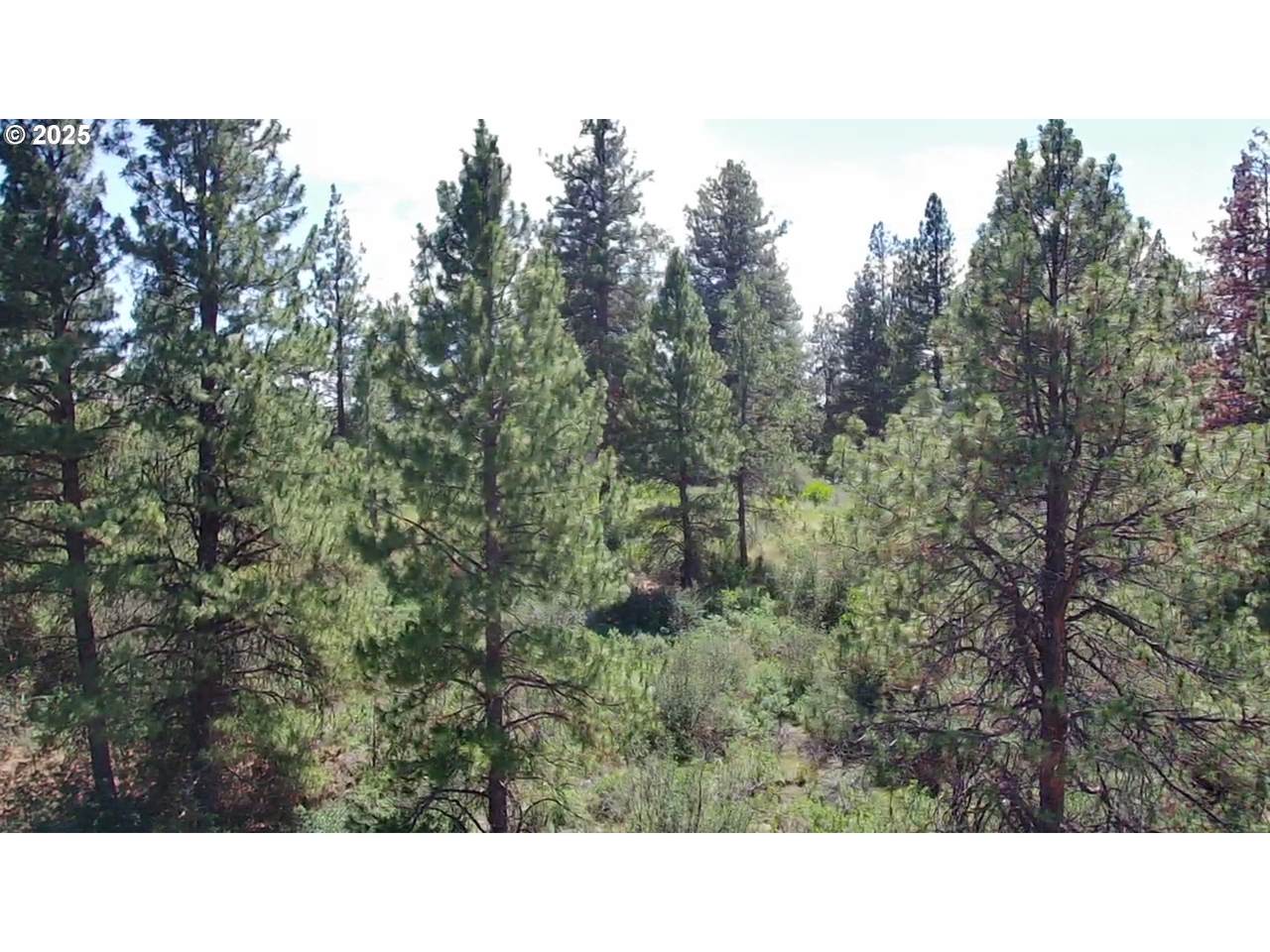 https://bt-photos.global.ssl.fastly.net/portland/1280_boomver_1_177411140-2.jpg