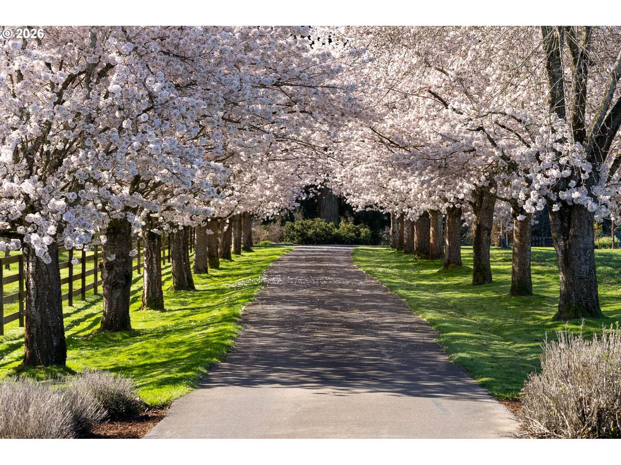 https://bt-photos.global.ssl.fastly.net/portland/1280_boomver_1_178132749-2.jpg