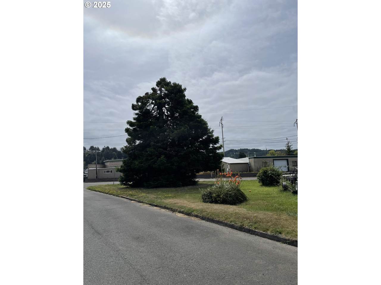 1 Juniper Ave - Photo 1