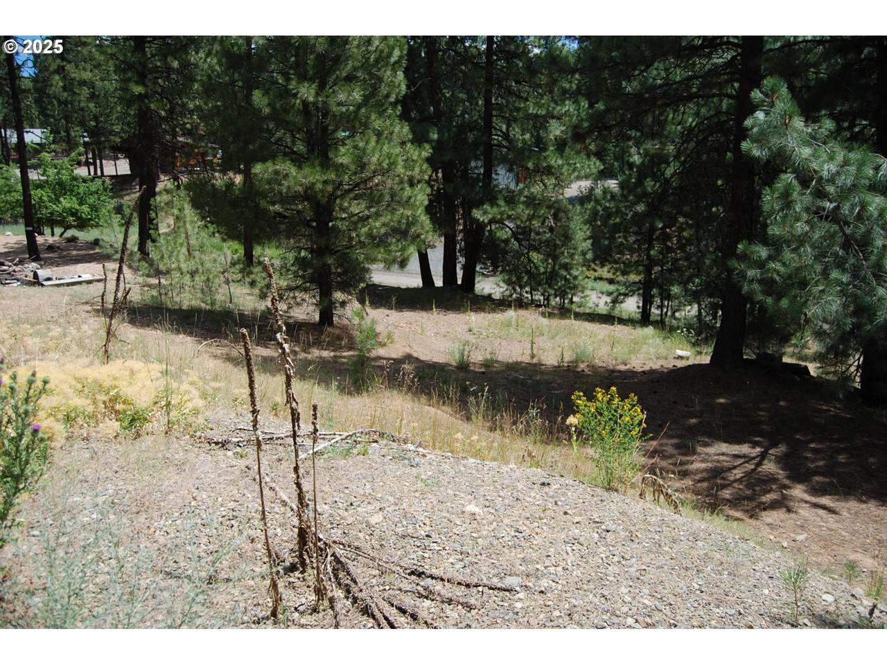 554 Bonanza St - Photo 1