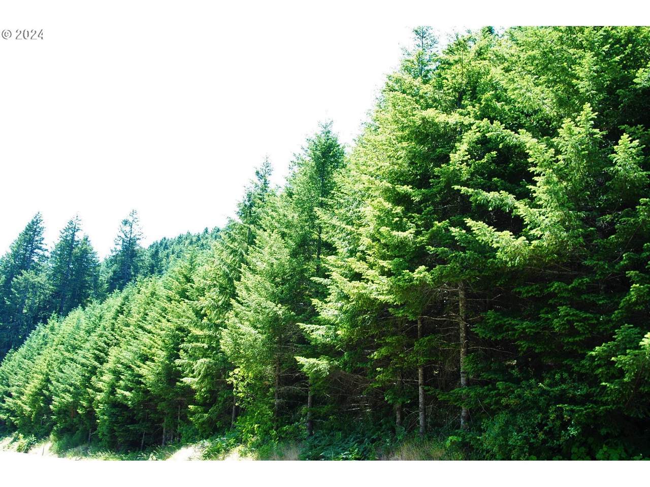 https://bt-photos.global.ssl.fastly.net/portland/1280_boomver_1_179874074-2.jpg