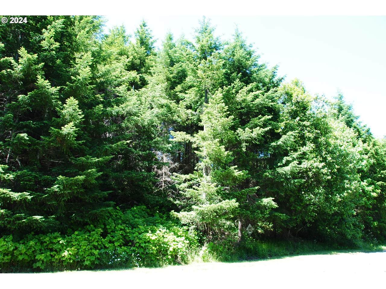 https://bt-photos.global.ssl.fastly.net/portland/1280_boomver_1_179874074-2.jpg