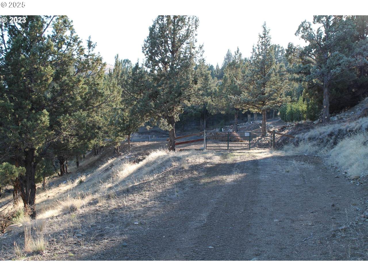  0 Cougar Ridge Road - Photo 1