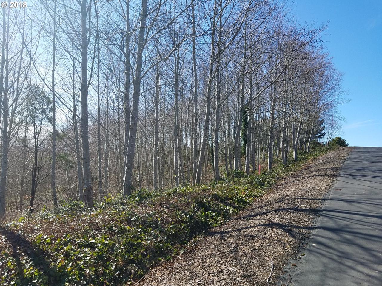 Holly Heights Ave - Photo 1
