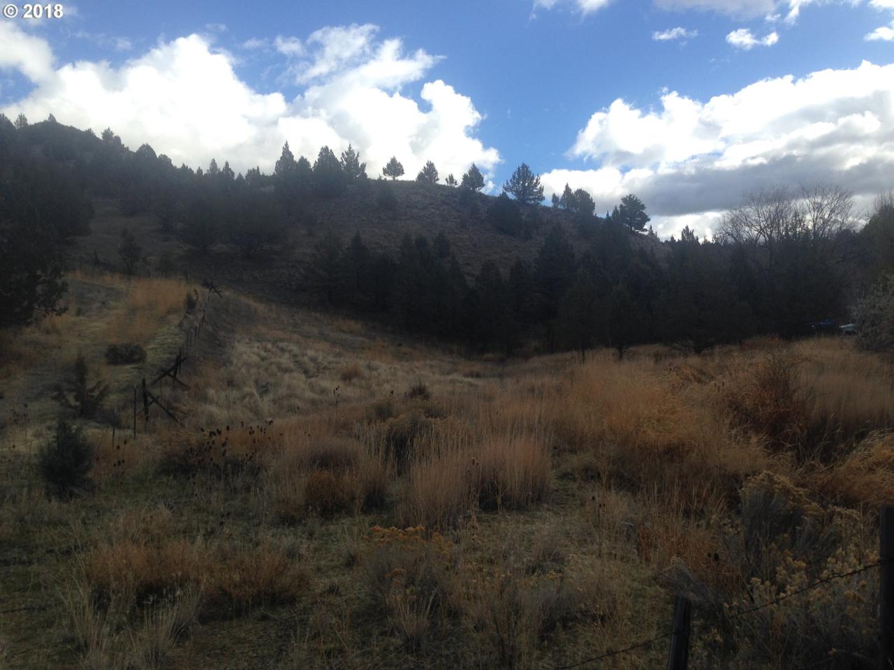 Luse Creek - Photo 1