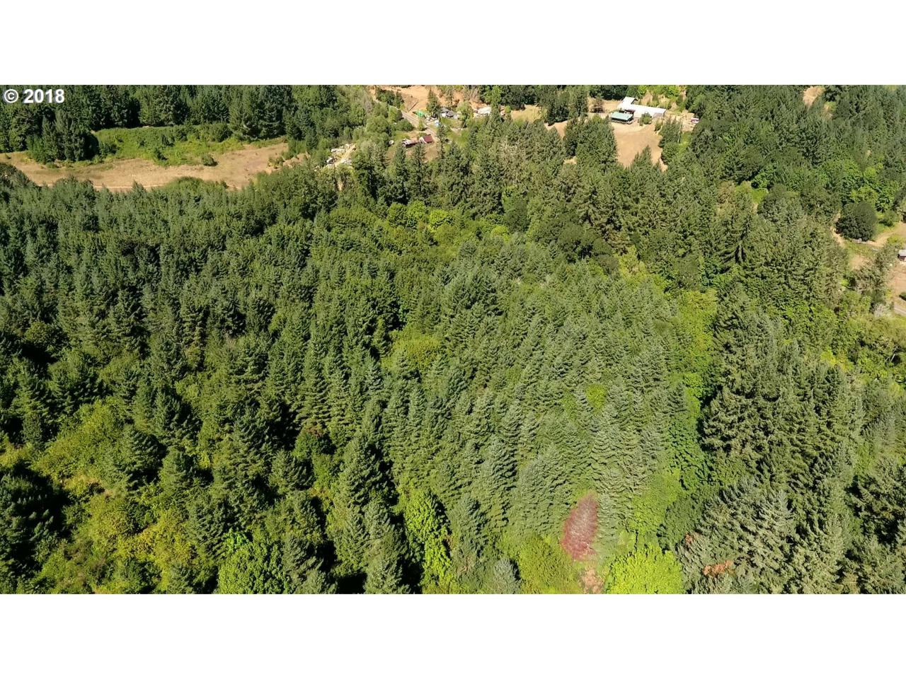 0 Three Deer Lane - Photo 1