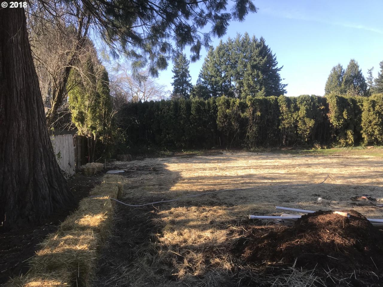 13147 115TH Ave - Photo 1