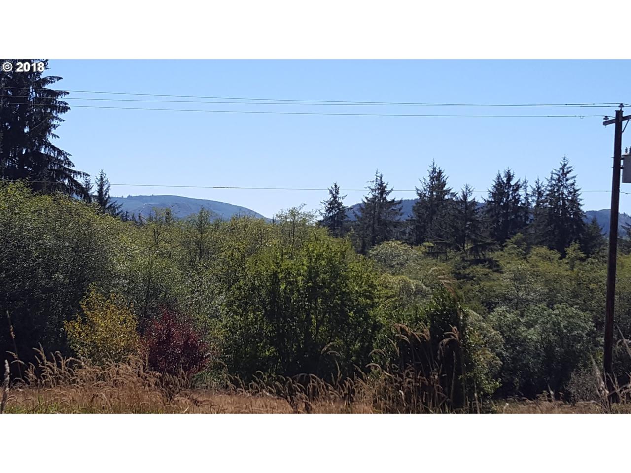 89799 Hwy 202 - Photo 1