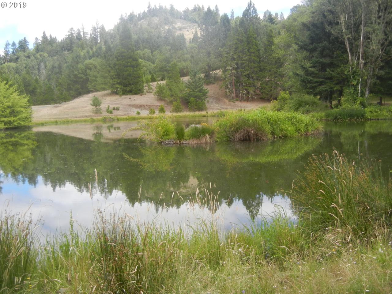 0 Boomer Hill Rd - Photo 1